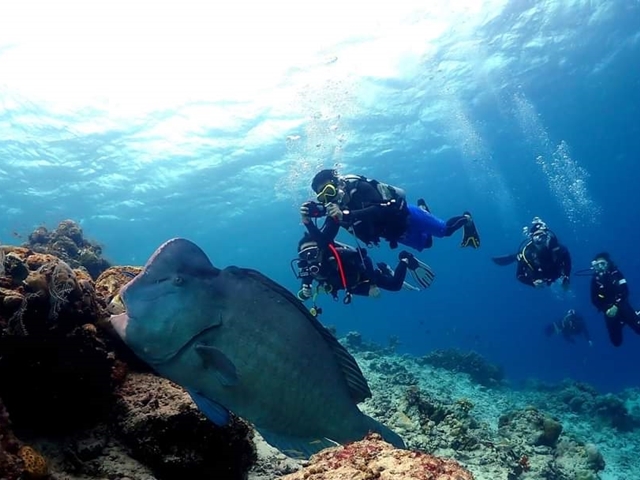 2D1N Seahorse Sipadan (DIVING)